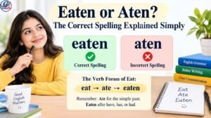 Eaten or Aten? The Correct Spelling Explained Simply