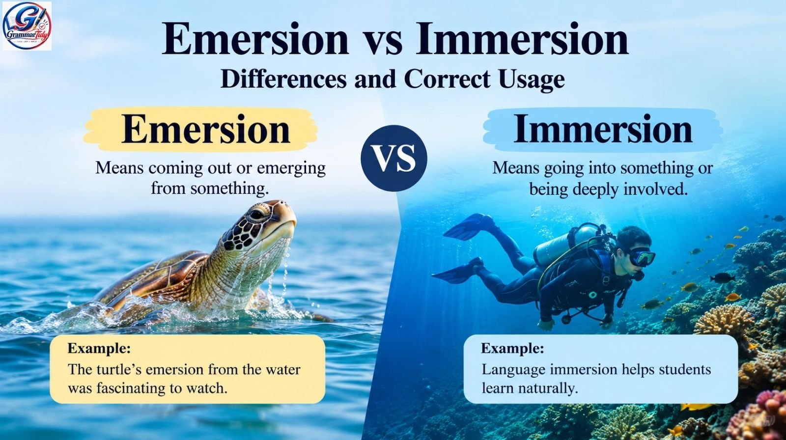 Emersion vs Immersion: Differences And Correct Usage emersion vs immersion differences and correct usage